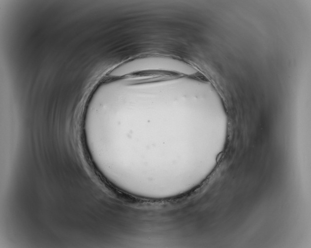 X0000086950049200705141830