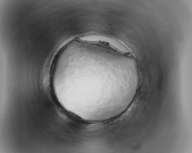 X0000086950050200705141830