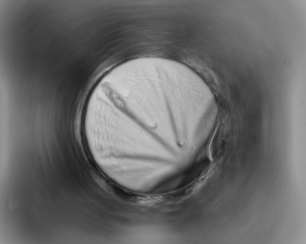 X0000086950051200705141830