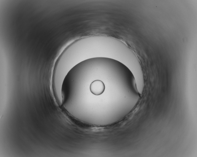 X0000086950052200705141830