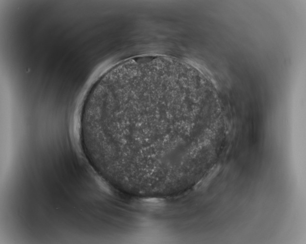 X0000086950053200705141830