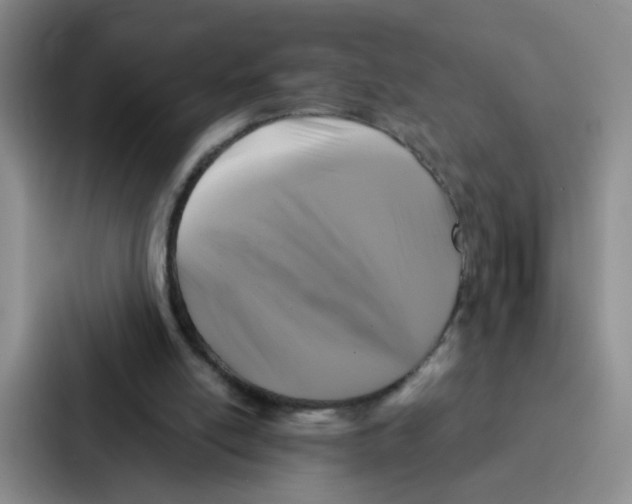 X0000086950054200705141830