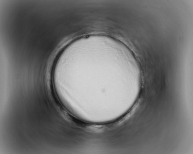 X0000086950055200705141830