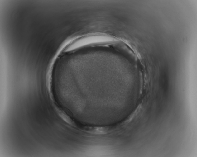 X0000086950056200705141830