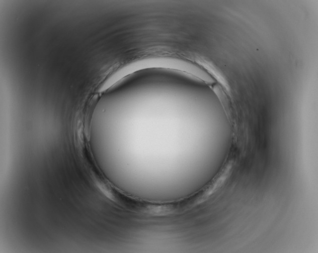 X0000086950057200705141830