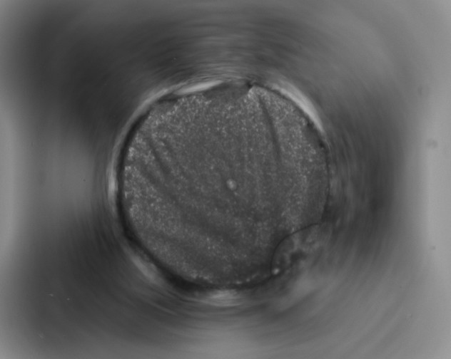 X0000086950059200705141830