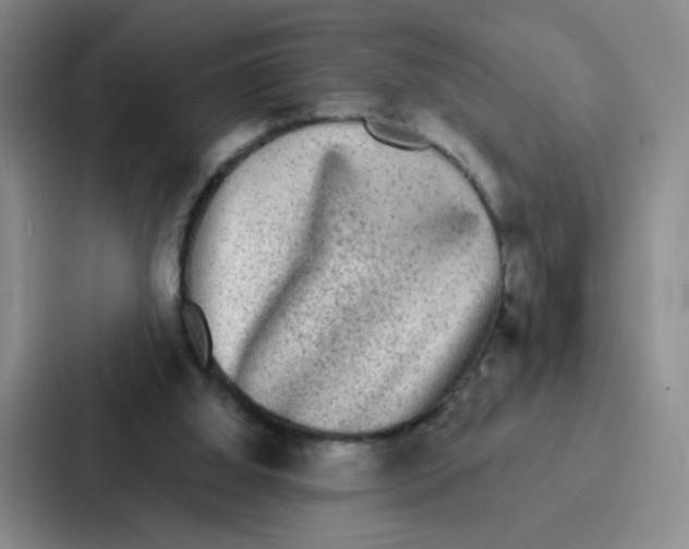 X0000086950060200705141830