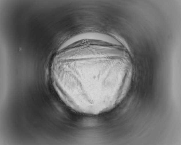 X0000086950061200705141830