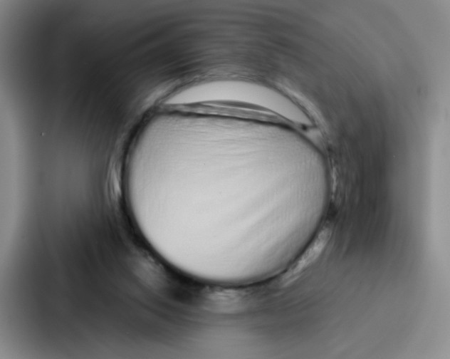 X0000086950062200705141830