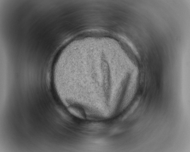 X0000086950063200705141830