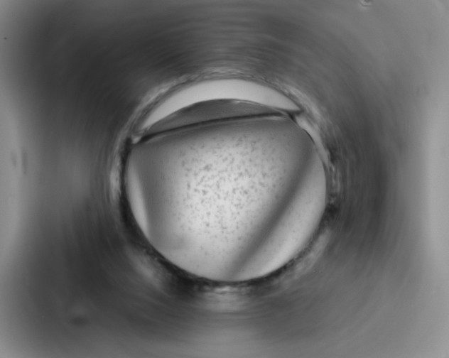 X0000086950064200705141830