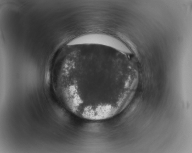 X0000086950067200705141830