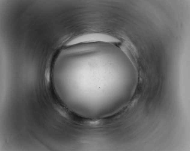 X0000086950068200705141830