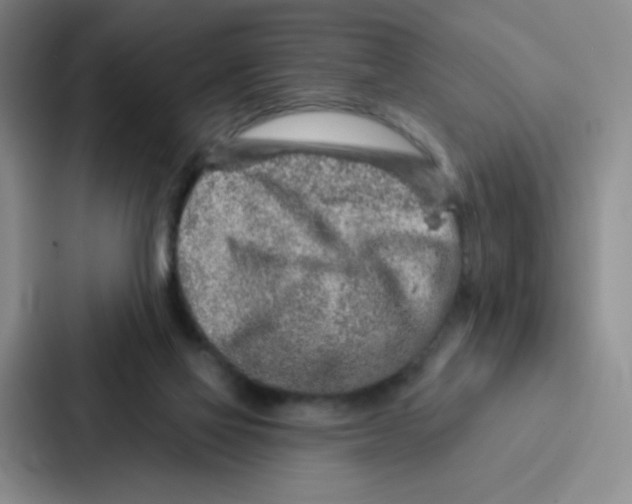 X0000086950069200705141830