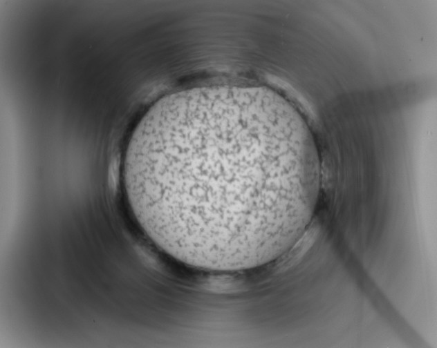 X0000086950070200705141830