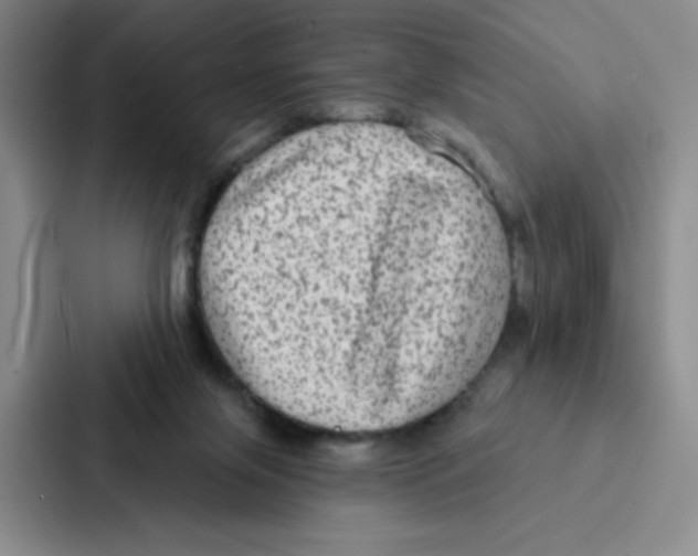 X0000086950071200705141830