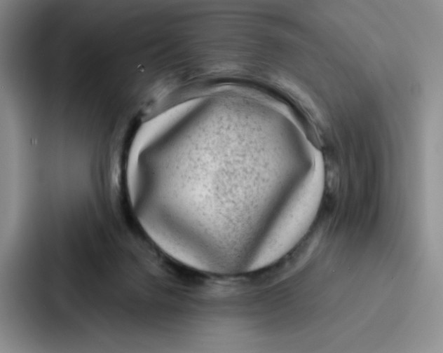 X0000086950072200705141830