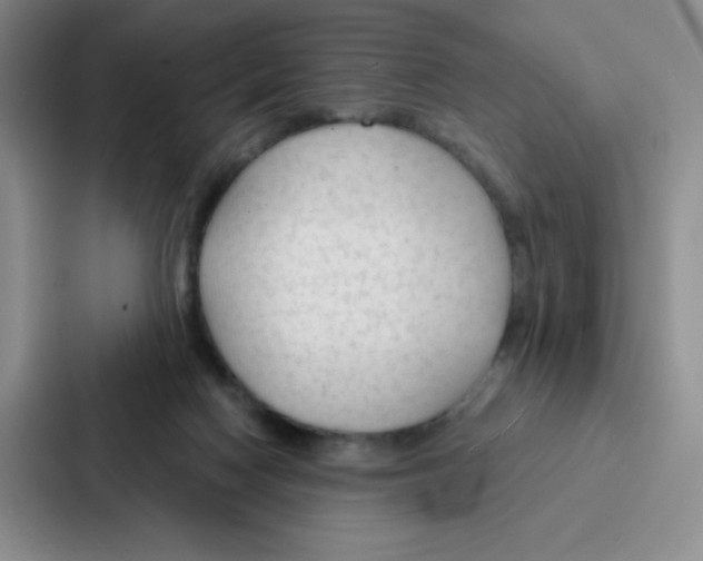 X0000086950074200705141830