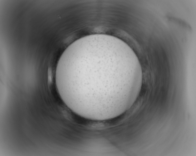 X0000086950075200705141830