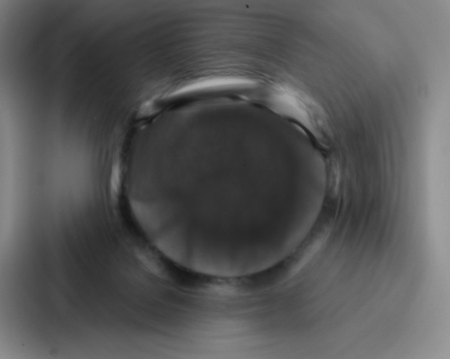 X0000086950076200705141830