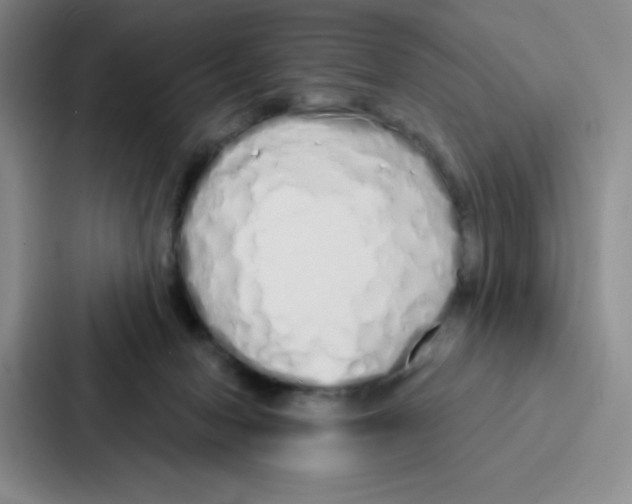 X0000086950078200705141830