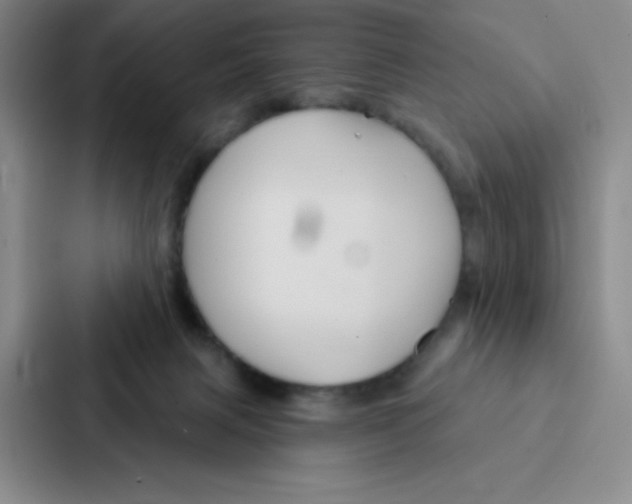 X0000086950079200705141830