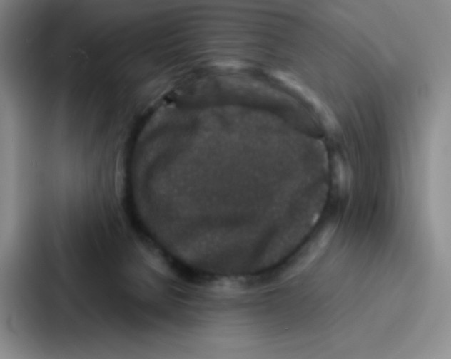 X0000086950080200705141830