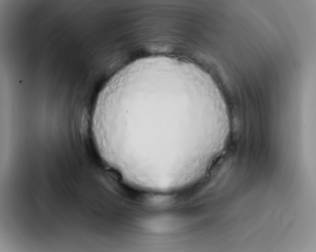 X0000086950081200705141830