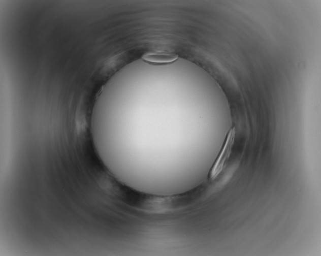 X0000086950084200705141830