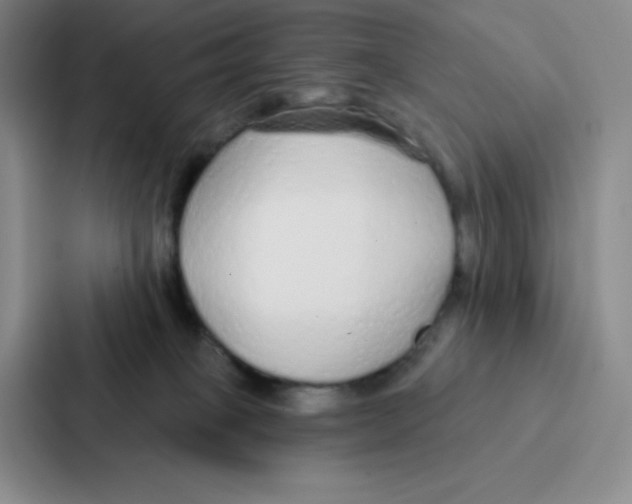 X0000086950085200705141830