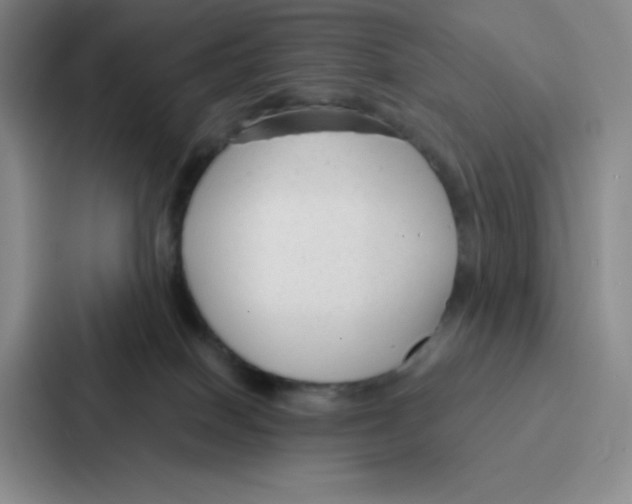 X0000086950086200705141830