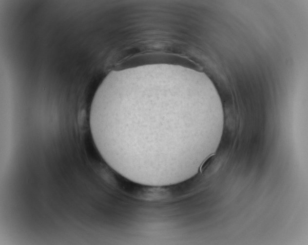 X0000086950087200705141830