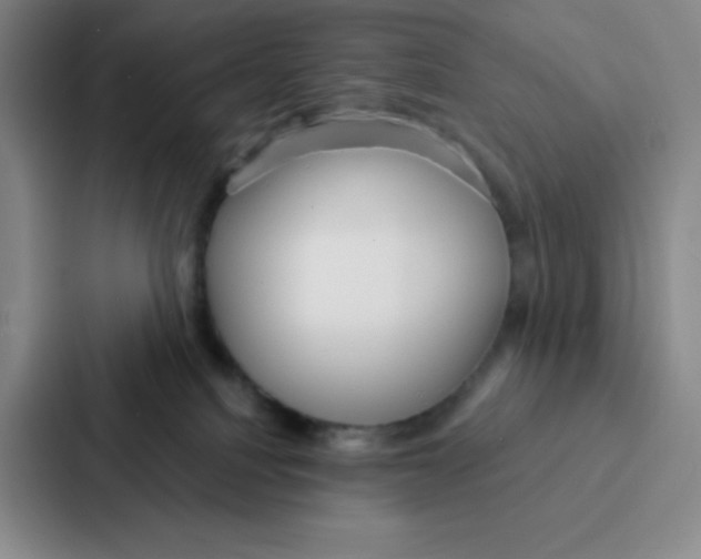 X0000086950088200705141831