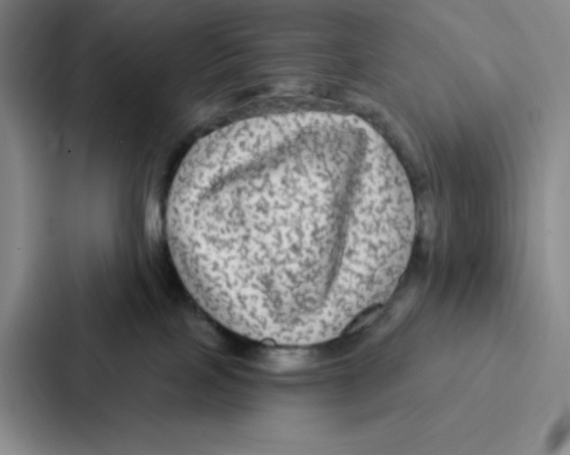 X0000086950089200705141831