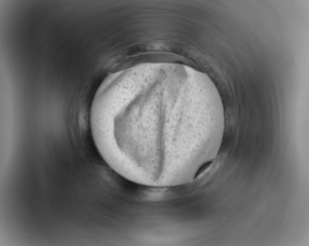 X0000086950090200705141831