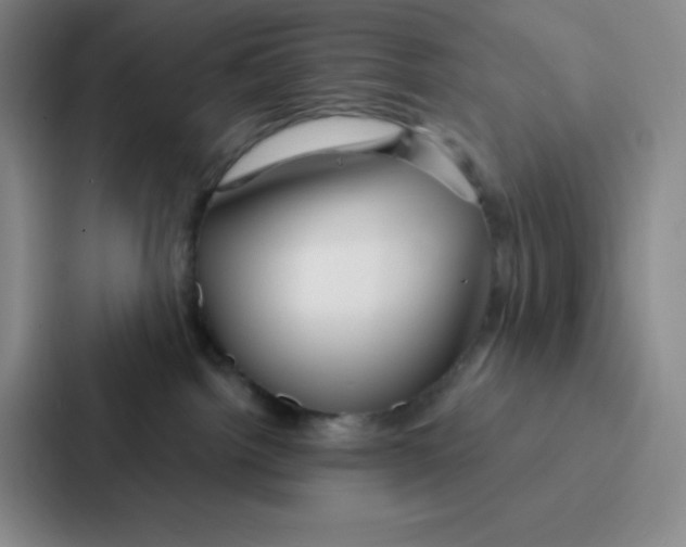 X0000086950092200705141831