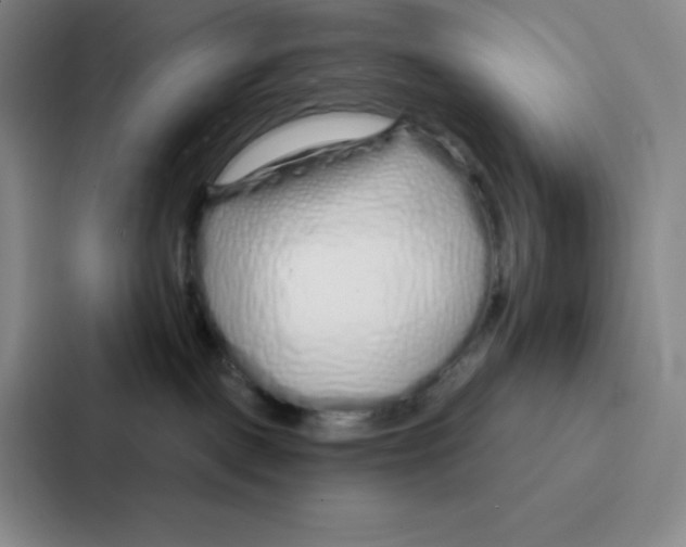 X0000086950093200705141831