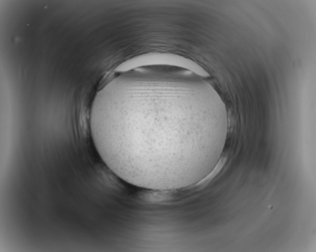 X0000086950094200705141831