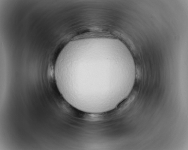 X0000086950095200705141831