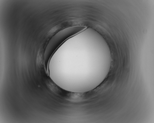 X0000086950096200705141831