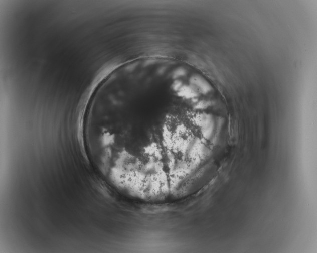 X0000086950099200705141830