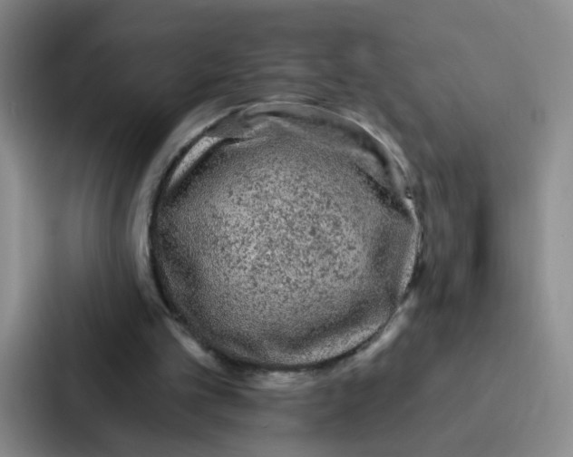 X0000086950101200705141830