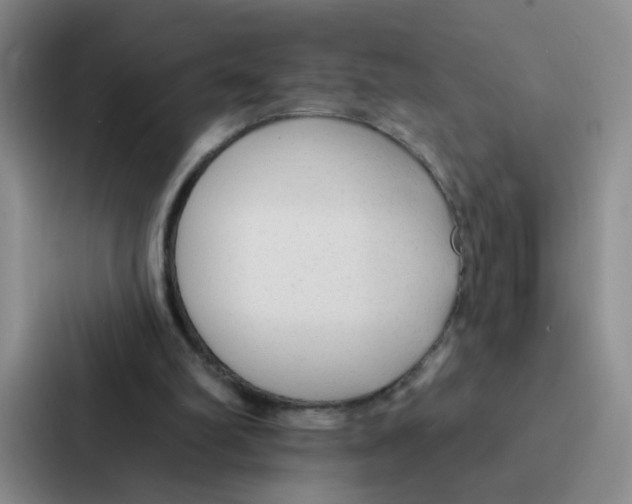 X0000086950102200705141830