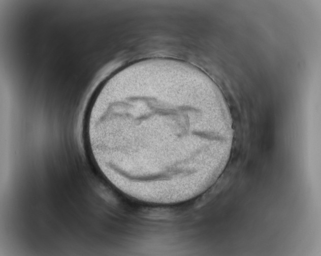 X0000086950104200705141830