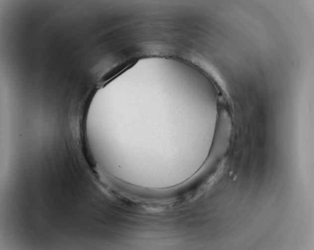 X0000086950105200705141830