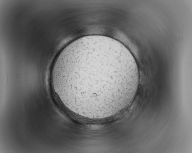 X0000086950107200705141830