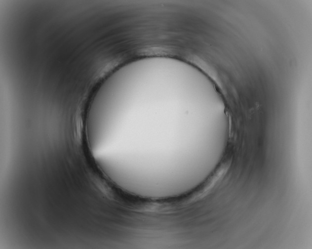 X0000086950109200705141830