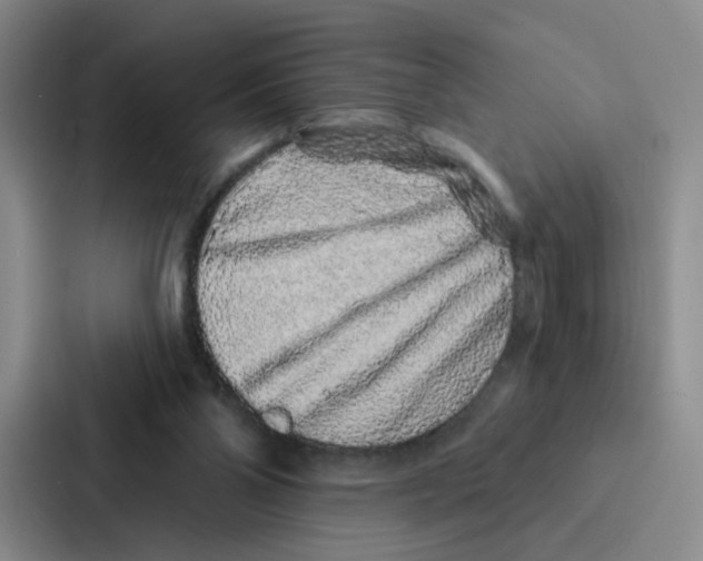 X0000086950110200705141830