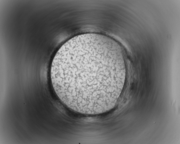 X0000086950111200705141830