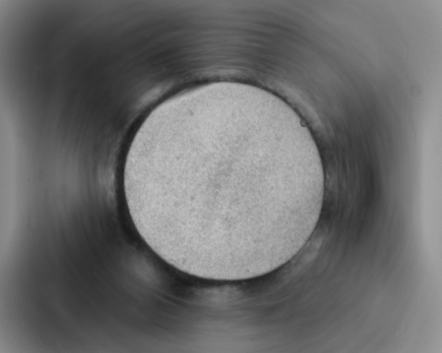 X0000086950112200705141830